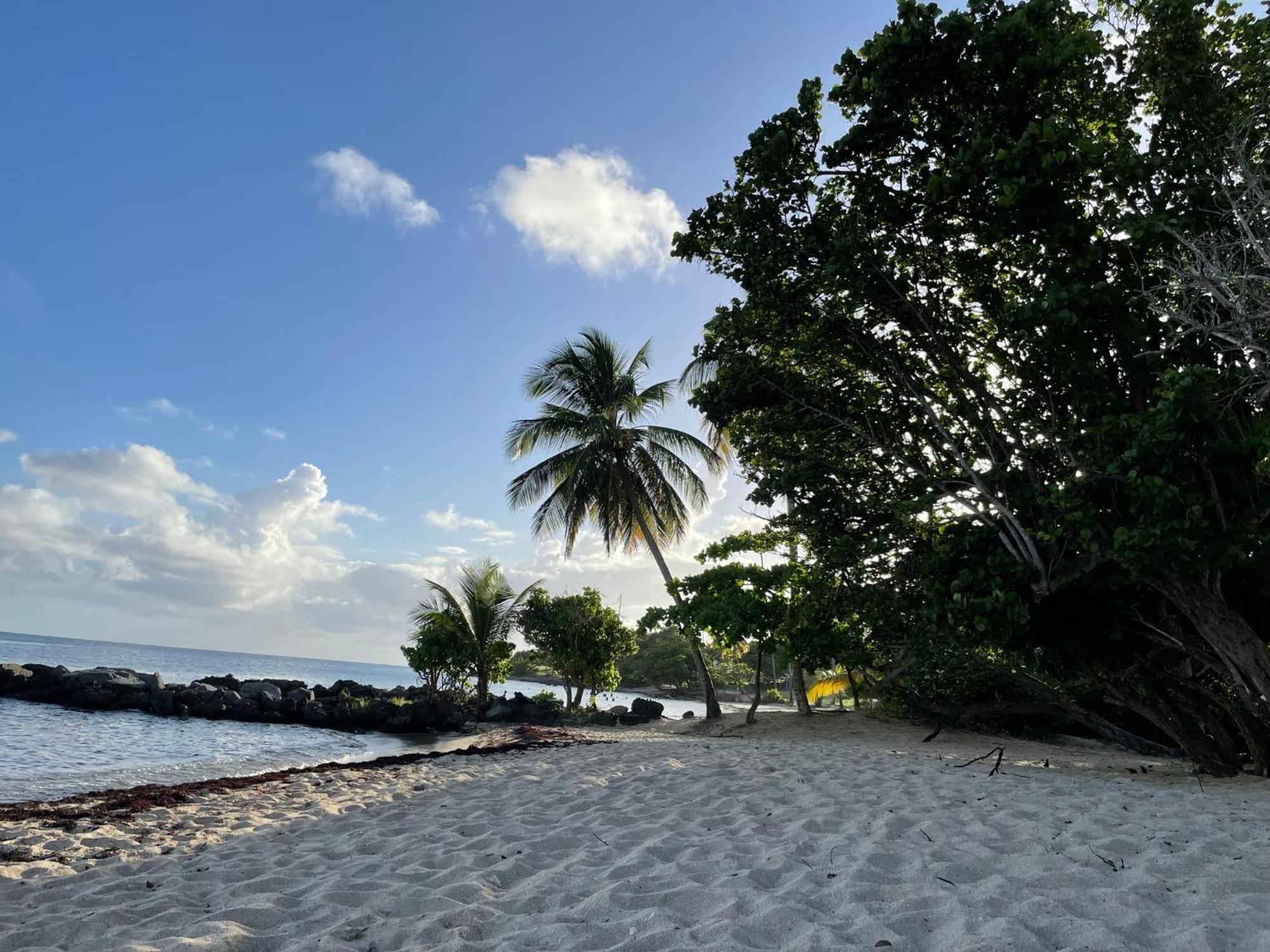 Villa Caraibes Sainte-Luce Exterior foto
